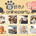 猫好き♪オンラインパーティー