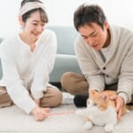 猫カフェ婚活