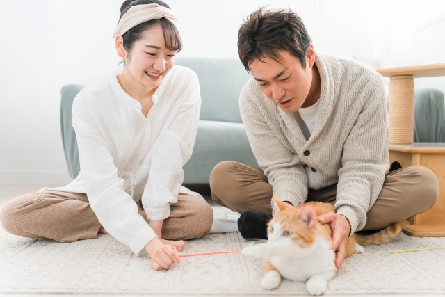 猫カフェ婚活